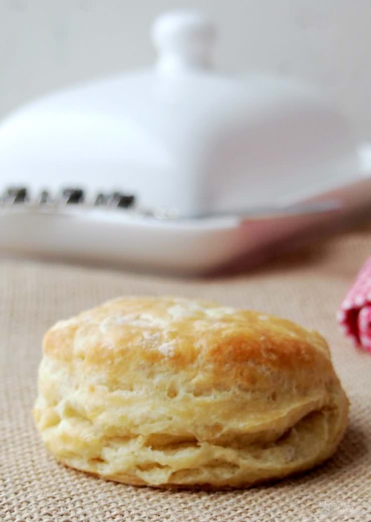 Homemade-biscuits are one of life's best comfort foods, and the skill of making them yourself at home is easy. The step by step details are going to be revealed--right here.