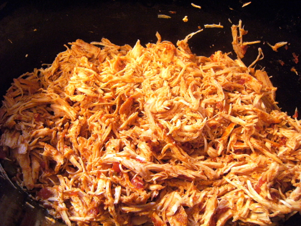 Shredded chicken made in a slow cooker, used to make shredded chicken tacos - Recipe on ComfortablyDomestic.com