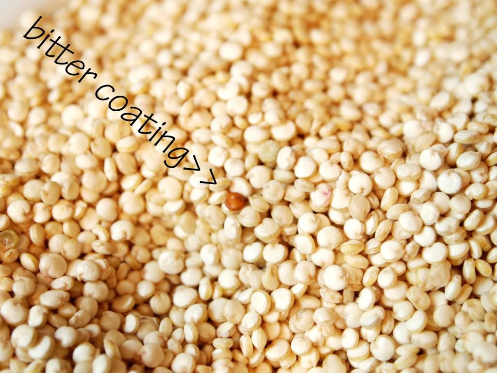 uncooked quinoa