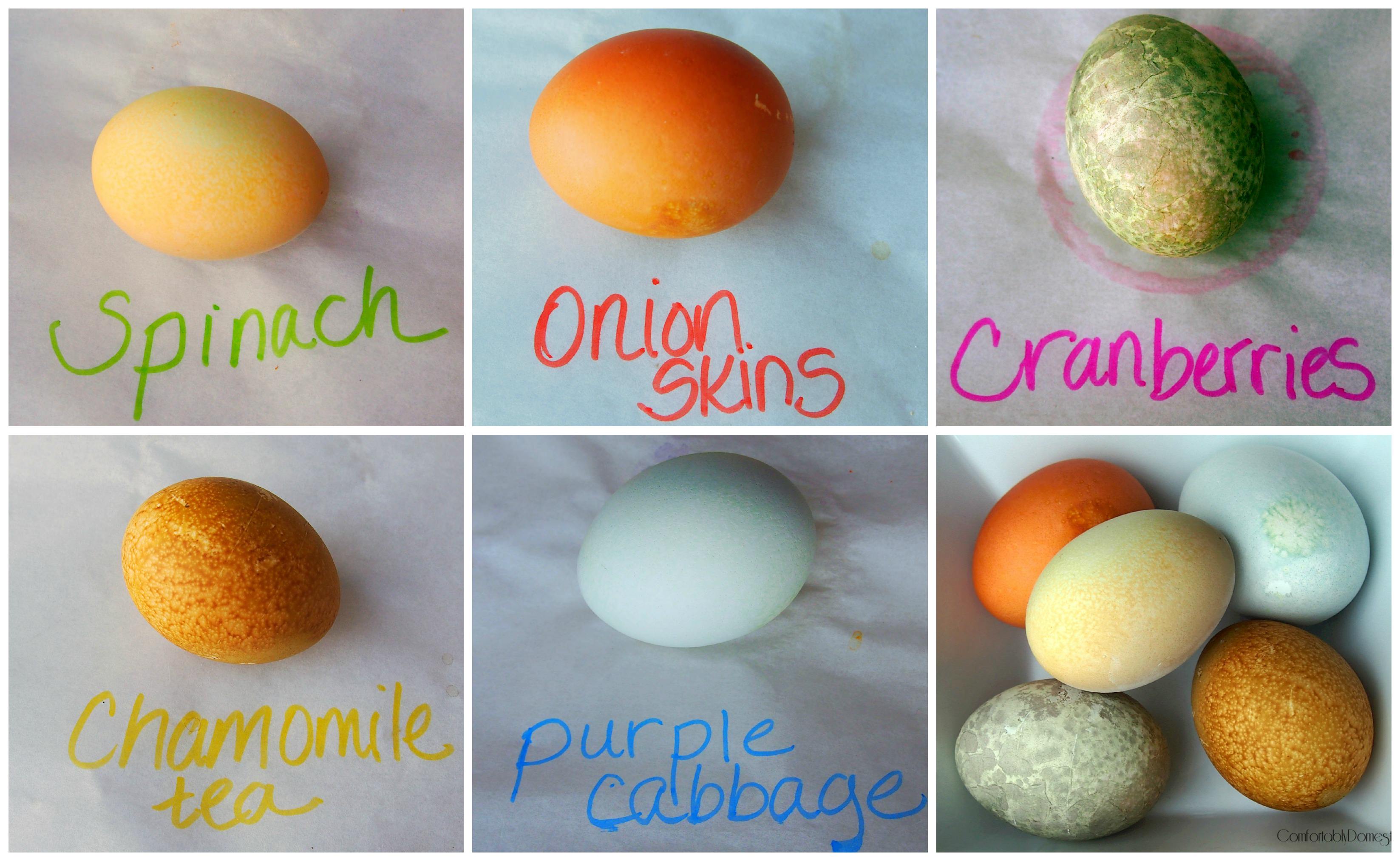 Naturally Dyed Easter Eggs | ComfortablyDomestic.com