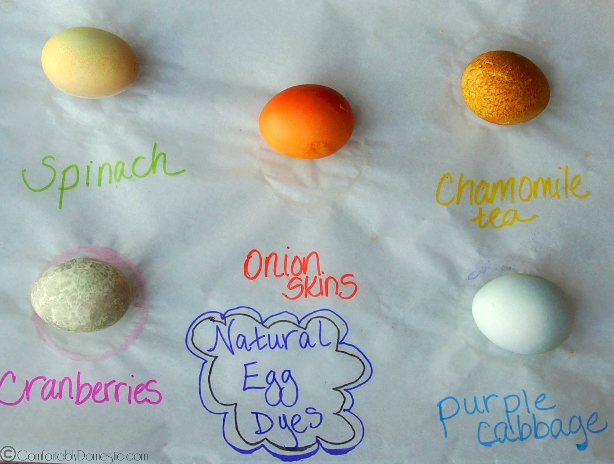 Natural Easter Egg Dyes | ComfortablyDomestic.com