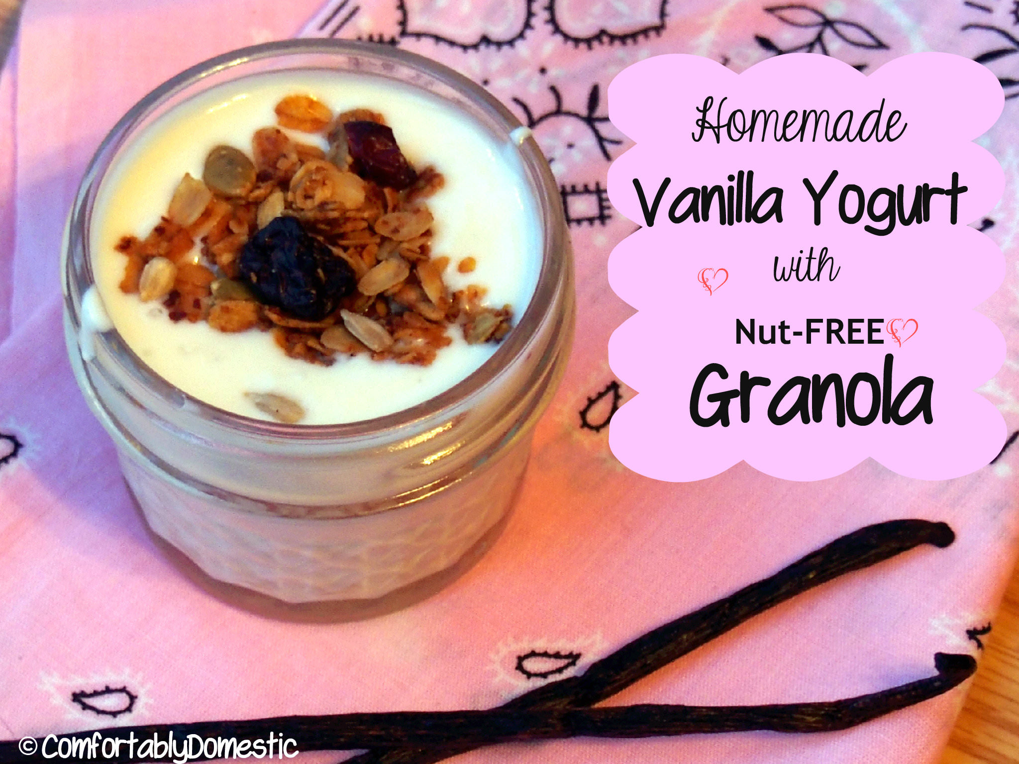 Homemade Vanilla Greek Yogurt and Nut-free Granola | ComfortablyDomestic.com