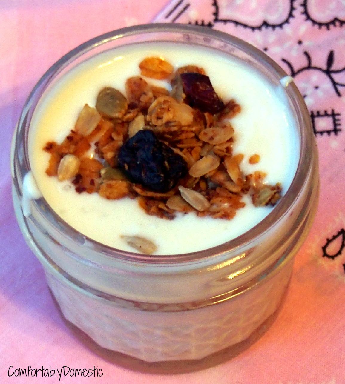 Homemade Vanilla Greek Yogurt with crunchy Nut-Free Granola | ComfortablyDomestic.com