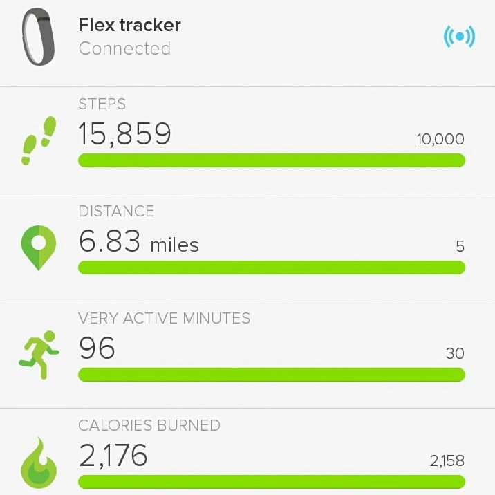 FitBit Obsession
