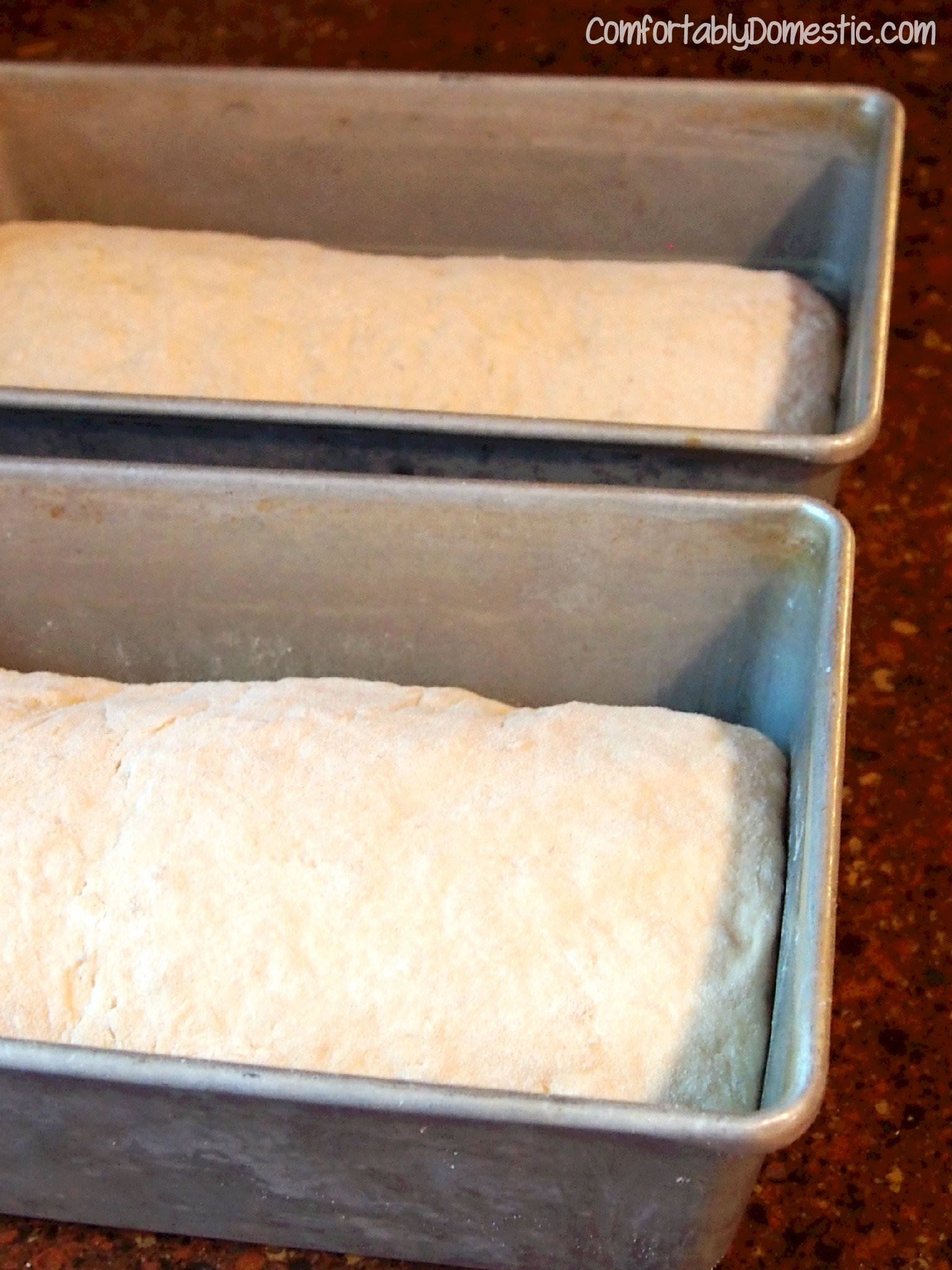 No Knead Cinnamon Swirl Oat Bread rising | ComfortablyDomestic.com