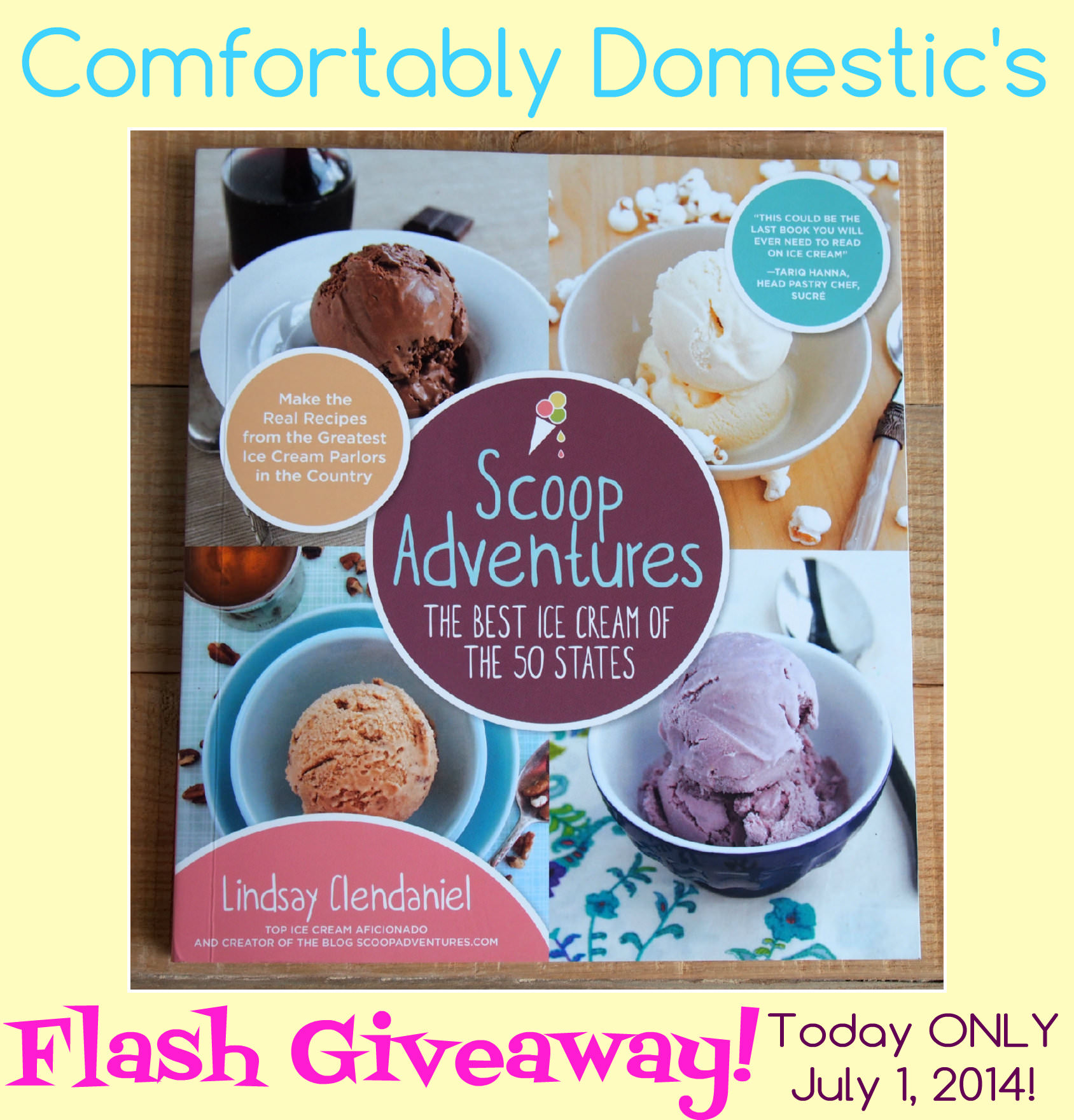Comfortably Domestic's Scoop Adventures FLASH Giveaway! ONLY July 1, 2014