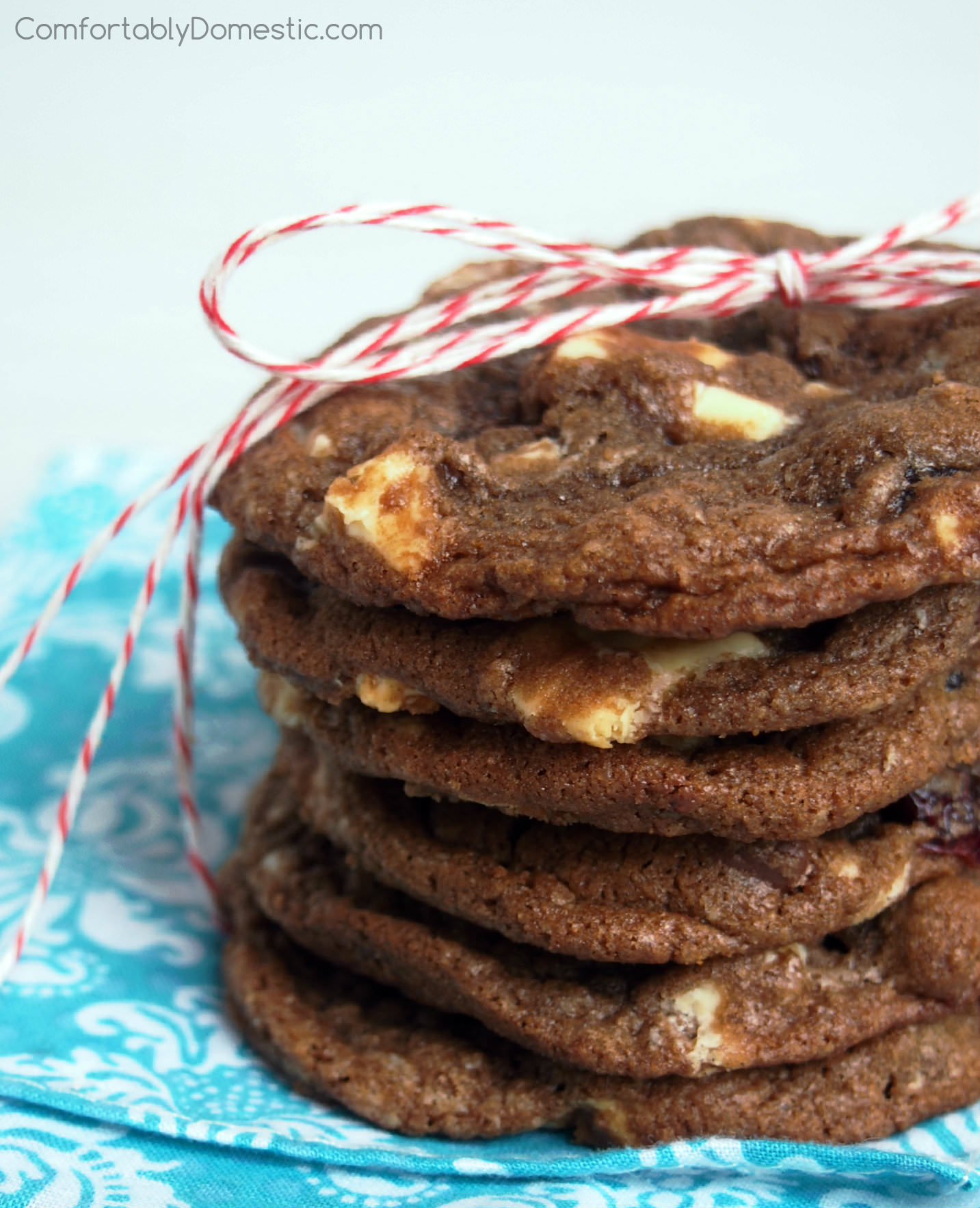 Double Chocolate Cranberry Cookies
