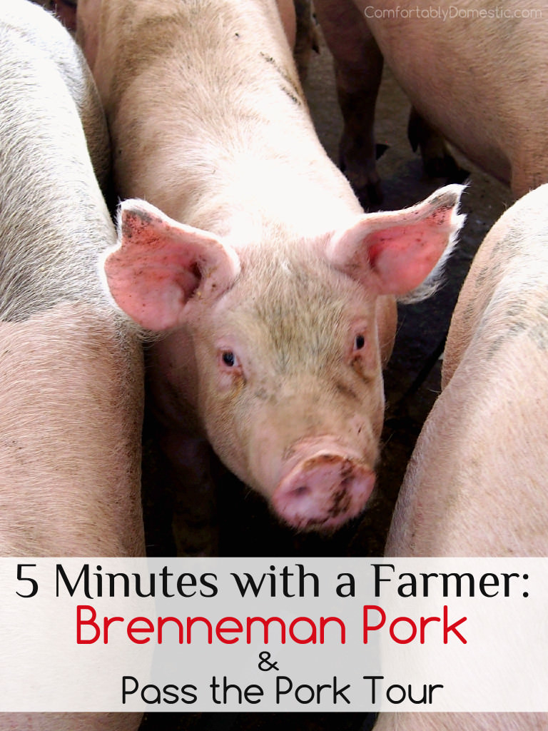 5-Minutes-with-a-Farmer- Brenneman Pork and the Pork to Plate Tour | ComfortablyDomestic.com