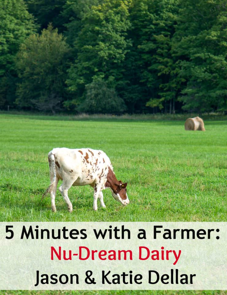 5 Minutes with a Farmer Nu-Dream Dairy Interview with Katie-Dellar| ComfortablyDomestic.com