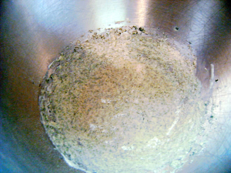 herb-sponge-base