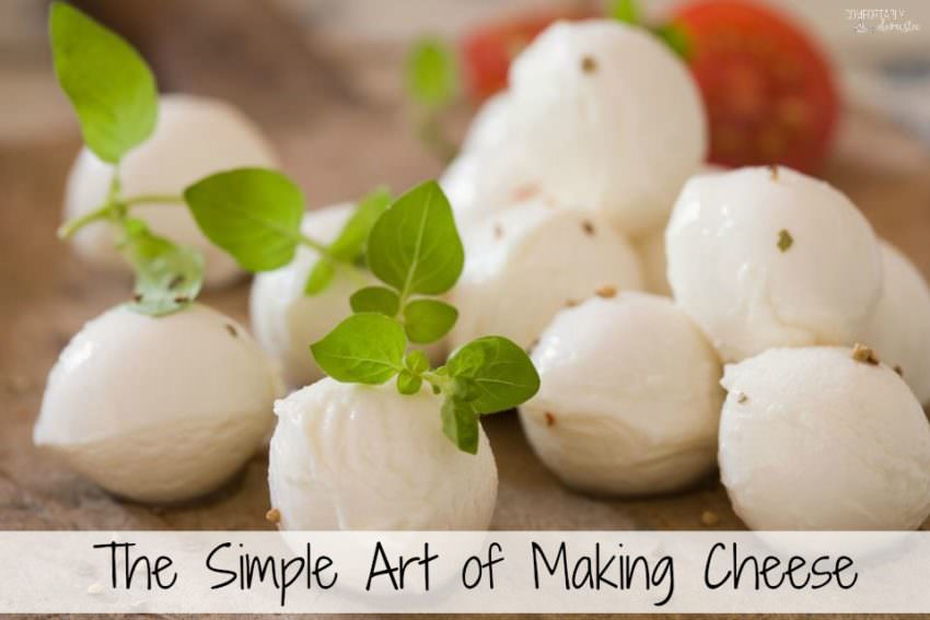 the-simple-art-of-making-cheese