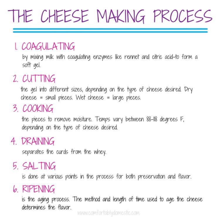 The-Simple-Art-of-Making-Cheese
