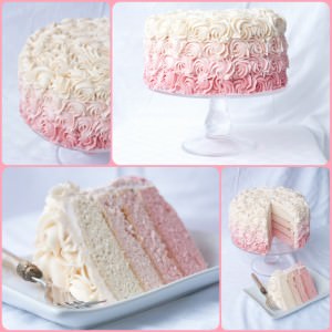 Roses, buttercream roses, beautifully covering a rich, moist, delicious ombre layer cake! This dessert is almost too gorgeous to eat!