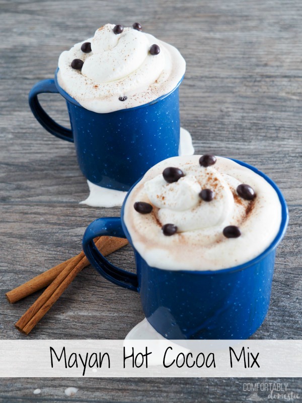 Two blue mugs of Mayan Hot Cocoa Mix with fluffy whipped cream, freshly grated cinnamon, and chocolate covered cacao nibs on top.