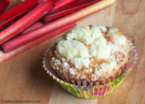 Fresh rhubarb permeating through every inch of fluffy, tender muffins, with a sweet crumb topping. These muffins are perfect for breakfast, an afternoon snack, or dessert.