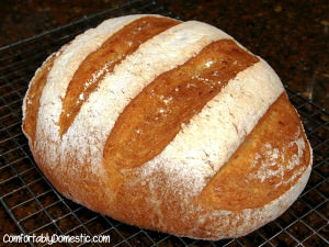 This no knead artisan cheddar bread recipe creates soft and crusty bread that easily comes together with a wooden spoon and requires absolutely no kneading! Get the recipe on ComfortablyDomestic.com