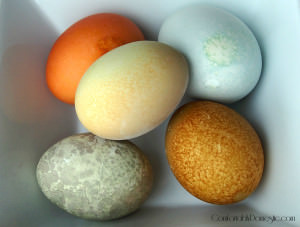 ﻿Natural Easter egg dyes ﻿are a healthier way to decorate Easter eggs, especially for those with allergies to food dyes. Learn how to make natural egg dyes here!