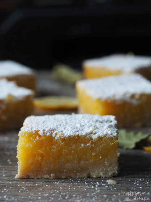 close-up-photo-of-gluten-free-lemon-bars-dusted-with-powdered-sugar