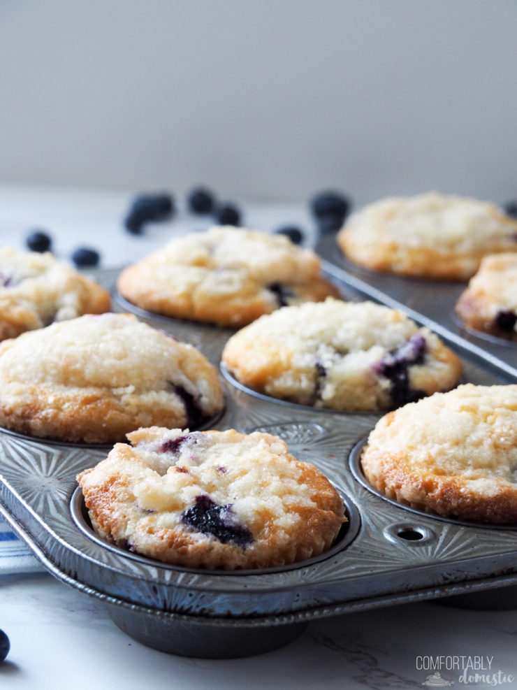 bakery style blueberry muffins in a vintage muffin tin